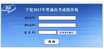 混合盘是什么意思，混合盘搜索官网入口，探索混合盘的奥秘，一站式官网入口揭秘