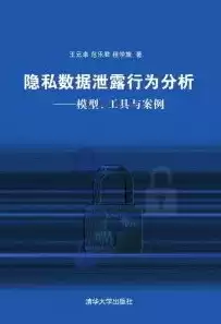 大数据隐私泄露案例有哪些，大数据隐私泄露案例，大数据时代下的隐私泄露悲剧，揭秘九大案例背后的惊人真相