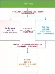 数据库的类型和特点有哪些，深入解析，数据库的类型及其独特特点