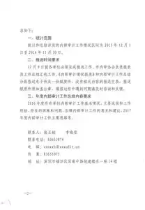 公安局内部审计报告怎么写，公安局内部审计报告，公安局内部审计报告，全面评估与改进措施建议