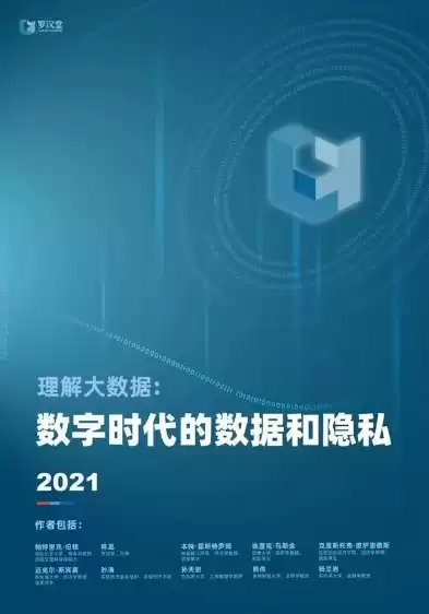 大数据时代对个人隐私的影响，大数据时代对个人隐私的利弊，大数据时代，个人隐私的守护与挑战