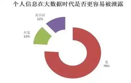 大数据对个人负面影响和风险有哪些，大数据对个人负面影响和风险，大数据时代个人隐私的隐忧，揭示大数据对个人负面影响与风险