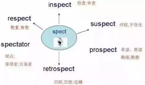 吞吐量助推器是什么，吞吐量助推器用英文怎么说单词，Unlocking Efficiency: The Power of Throughput Accelerators in Modern Computing