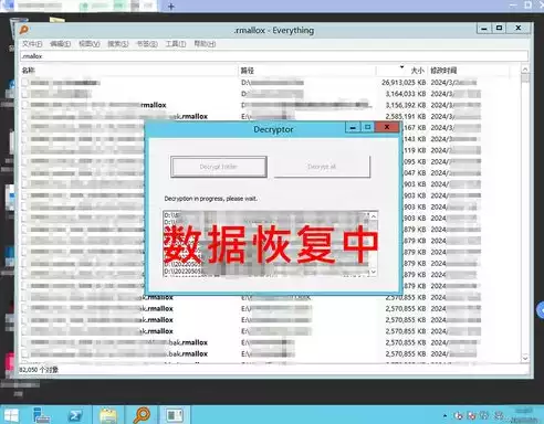 数据恢复病毒解密，数据恢复病毒，揭秘数据恢复病毒，如何巧妙解密，重获数据自由？