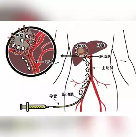 制定安全策略应遵循的原则，制订安全策略的内容不包括，安全策略制定中的五大禁忌，哪些内容不宜包含？