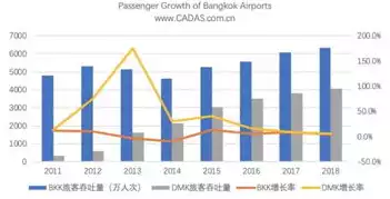 术语吞吐量表示什么，术语吞吐量表示什么?，深入解析，术语吞吐量的内涵及其在信息处理中的应用