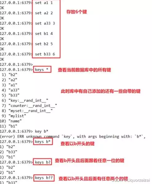 关系型与非关系型数据库的区别，关系型与非关系型数据库，关系型数据库与非关系型数据库，差异解析与应用场景探讨