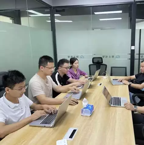 企业云是啥，企业云是哪家公司开发的，揭秘企业云，引领企业数字化转型的核心技术提供商