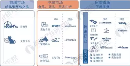 后端服务市场分析报告范文，后端服务市场分析报告，后端服务市场，机遇与挑战并存，未来发展趋势展望