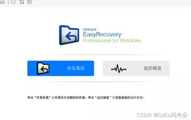 数据恢复软件easyrecovery下载v6.22破解版，免费数据恢复软件easyrecovery破解版，易用易恢复数据恢复神器easyrecovery v6.22破解版免费下载，助您轻松找回丢失数据！