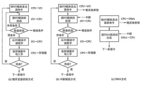 并行处理与串行处理，并行处理和串行处理的区别有哪些，深入解析并行处理与串行处理的差异与应用