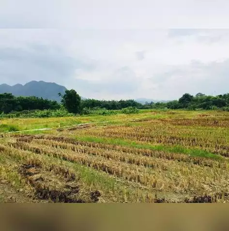 资源利用率不高说明什么意思呀怎么写，资源利用率不高说明什么意思呀，揭秘资源利用率不高背后的深层含义及应对策略