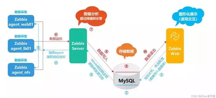 数据库的保护措施有哪些内容，数据库的保护措施有哪些，全方位解析，数据库保护措施，筑牢数据安全防线