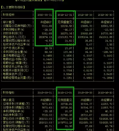 300813分析社区，300738分析社区，300813深度解析，挖掘其内在价值，探寻投资潜力