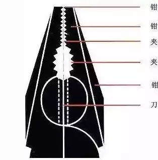 版本控制工具有哪些,各有什么特点呢，版本控制工具有哪些,各有什么特点，版本控制工具大揭秘，盘点各类工具特点及适用场景