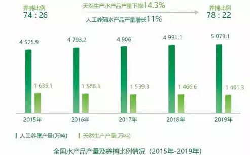 资源应用是什么意思，资源应用推荐，深度解析，资源应用在现代化建设中的重要作用及实践策略