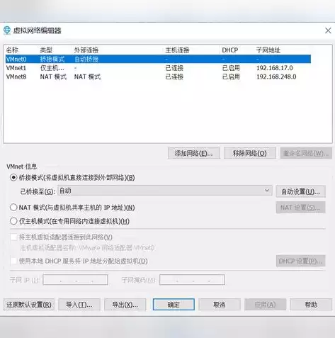 vmware虚拟化平台搭建，vm虚拟化平台搭建集群，深入解析，基于VMware虚拟化平台构建高效集群的步骤与实践