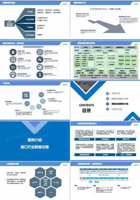 数据治理简介模板，数据治理简介，数据治理，构建现代企业核心竞争力的重要策略