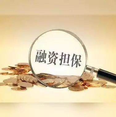 融资综合信用服务示范平台有哪些，融资综合信用服务示范平台，揭秘融资综合信用服务示范平台，一站式信用解决方案助力企业融资