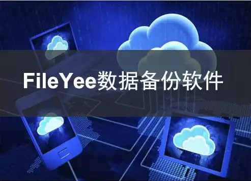 数据备份常用方法有哪些软件呢，数据备份常用方法有哪些软件，数据备份攻略，盘点十大热门数据备份方法与软件推荐