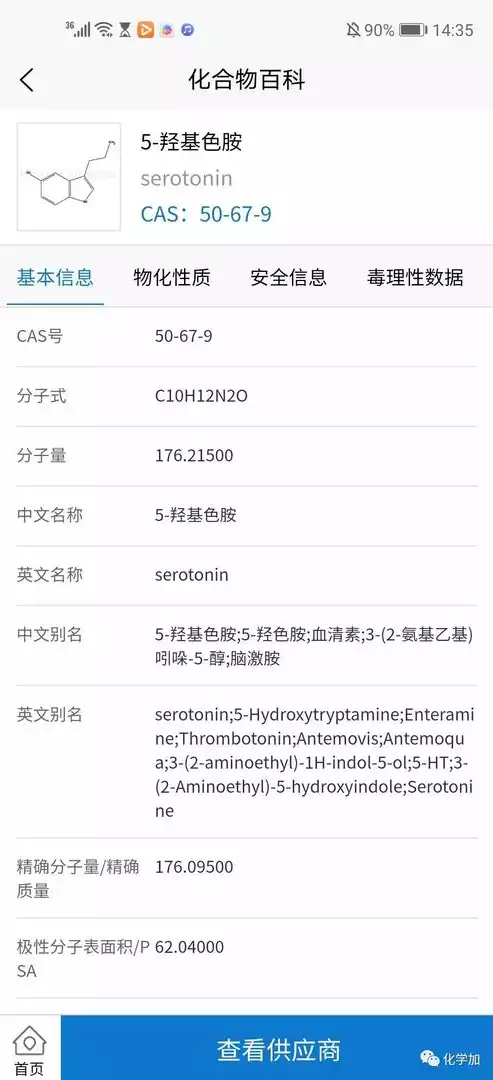 短信压力测试免费网页，短信测试压力在线网页，体验极致短信压力测试，免费在线网页助你轻松应对通信挑战