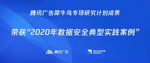 大数据隐私安全案例有哪些，大数据隐私安全案例，大数据时代下的隐私安全挑战与应对策略——案例分析及启示