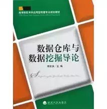 数据仓库与数据挖掘应用教程，数据仓库与数据挖掘应用，数据仓库与数据挖掘在现代企业中的应用与创新