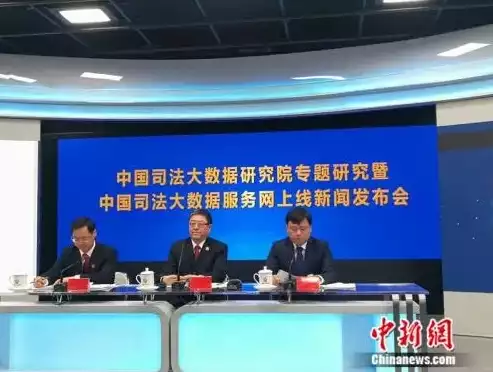 中国司法大数据研究院有限公司怎么样，中国司法大数据研究院有限公司官网，深度解析，中国司法大数据研究院有限公司的发展现状与未来展望