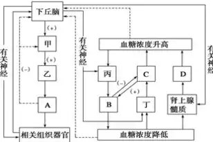 按容器的形状分是哪种，按容器在生产工艺过程中的作用原理可分为哪三类，容器在生产工艺过程中的分类与应用探讨——以形状为依据的划分