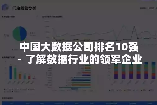 国内顶尖大数据公司有哪些，国内顶尖大数据公司，揭秘国内大数据行业翘楚，五大顶尖大数据公司崛起之路