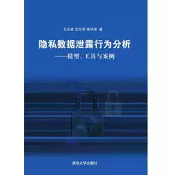 大数据泄露隐私的事例，大数据泄露隐私的例子，揭秘大数据泄露隐私的五大案例，个人信息安全面临严峻挑战