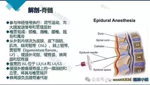 椎管内麻醉并发症及处理原则，椎管内麻醉并发症处理的讲义，椎管内麻醉并发症的识别与处理策略