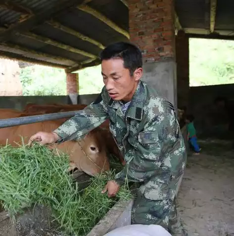 数据采集注意哪些问题有哪些方法，数据采集注意哪些问题有哪些，数据采集过程中的注意事项及优化策略