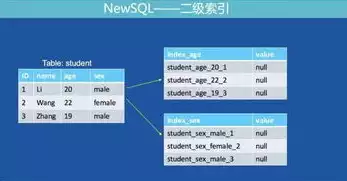 nosql数据库有，nosql数据库能开网站吗，深入解析，NoSQL数据库在网站开发中的应用与实践