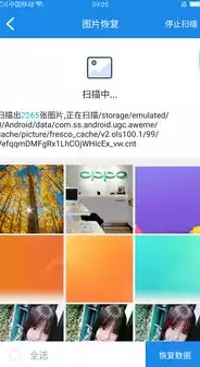 数据恢复精灵app下载苹果版，数据恢复精灵app下载，数据恢复精灵苹果版下载，专业高效，助您轻松恢复丢失数据！