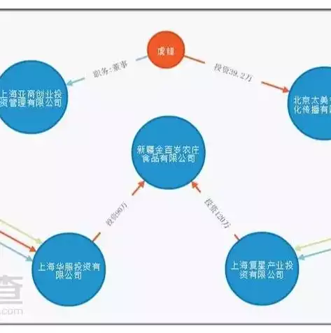 数据挖掘课程教案设计怎么写，数据挖掘课程教案设计，基于实践导向的数据挖掘课程教案设计，理论与应用的融合