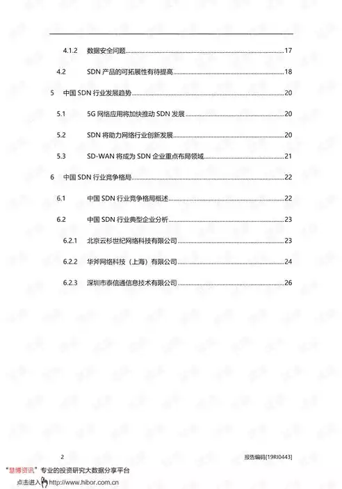 软件定义网络学期总结三千字，软件定义网络学期总结，软件定义网络（SDN）技术发展与应用展望