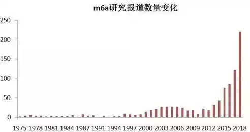 数据挖掘课程设计报告怎么写，数据挖掘课程设计报告，基于数据挖掘技术的客户细分与精准营销策略研究——以某电商平台为例