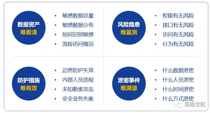 数据安全和隐私，数据安全与隐私企业，数据安全与隐私保护，企业合规与技术创新并行之路