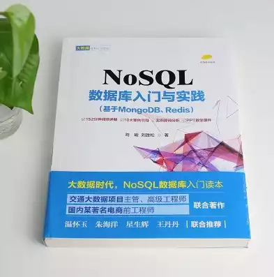 nosql数据库入门与实践，nosql数据库能开网站吗，深入浅出，NoSQL数据库在网站开发中的应用与实践