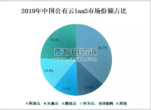 中国公有云市场规模，国内公有云市场占有率，中国公有云市场占有率持续攀升，规模突破千亿，行业领军企业脱颖而出