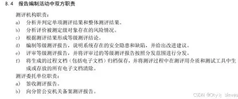 威胁监测与安全分析怎么写范文，威胁监测与安全分析怎么写，深入探讨威胁监测与安全分析，构建企业安全防线的关键策略