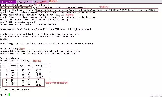 mysql数据库备份表，mysql数据备份图片，MySQL数据库备份策略详解，高效保障数据安全与恢复