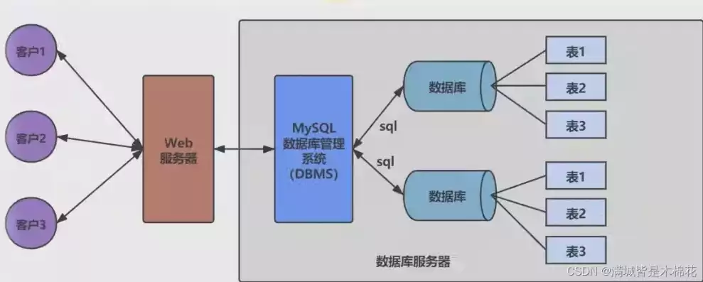 数据库中数据模型的概念和特点，数据库中数据模型的概念，深入解析数据库中数据模型的概念与特点