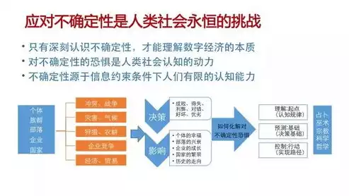 数据保护官员是什么，数据保护官员，揭秘数据保护官员，维护数据安全的重要守护者