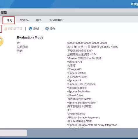 vmware虚拟化技术的原理是什么，vmware虚拟机虚拟化作用，深入解析VMware虚拟化技术的原理与应用