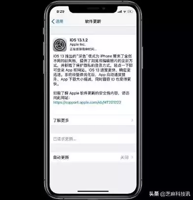 苹果手机隐私与安全性无法设置，苹果手机隐私与安全性无法设置，揭秘苹果手机隐私与安全性设置难题，你了解多少？