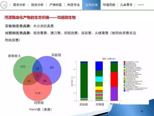 资源化利用解决方案有哪些内容呢，资源化利用解决方案有哪些内容，全方位解析资源化利用解决方案，创新与可持续发展之道