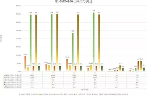 吞吐量测试属于什么测试，吞吐量测试站点选择原则，吞吐量测试站点选择原则，确保高效稳定的性能评估