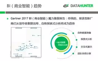 能进行数据可视化的工具有哪些，可以进行数据可视化的三个主要方向，数据可视化三大领域与工具解析，助力洞察与分析